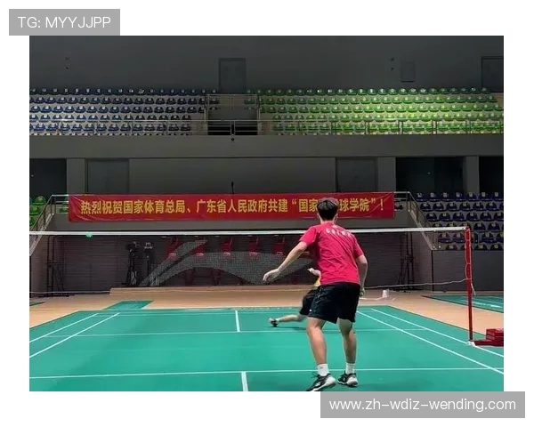 羽毛球球路限制
